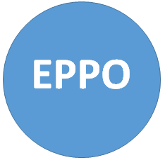 EPPO - Was ist das für eine Behörde in der EU?